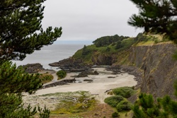 Picture 10
