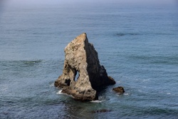 Picture 24