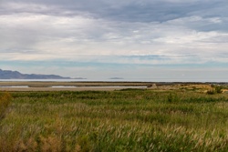 Picture 23