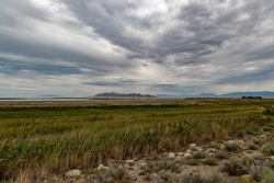 Picture 28