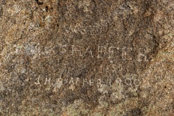 Picture 32
