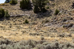 Picture 50