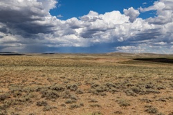 Picture 84