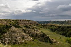Picture 1
