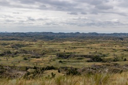 Picture 10