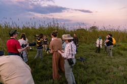Picture 13