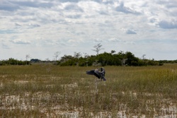 Picture 11