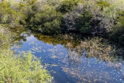 Picture 22