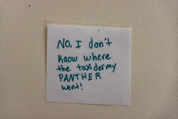 Picture 34