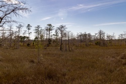 Picture 37