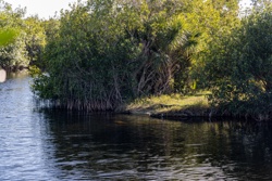 Picture 46