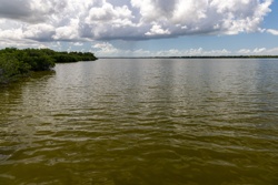 Picture 23