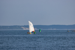 Picture 24