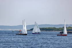 Picture 26