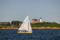 Picture 25