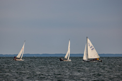 Picture 29