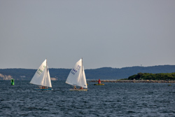 Picture 31