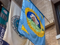 Picture 20