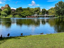 Picture 32
