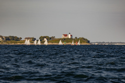Picture 13