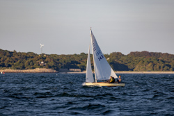 Picture 20