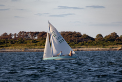 Picture 22