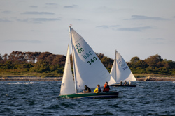 Picture 23