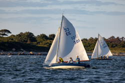 Picture 24