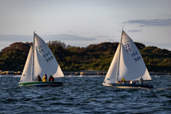Picture 25