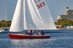 Picture 12