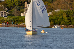 Picture 30