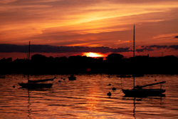 Picture 32