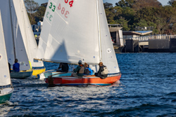Picture 20