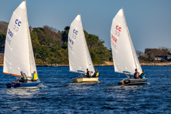 Picture 21