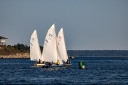 Picture 24