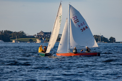 Picture 32
