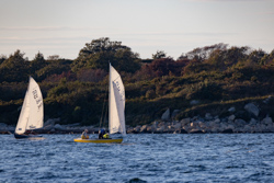 Picture 36