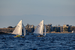 Picture 42