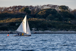 Picture 48