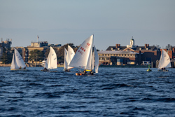 Picture 51