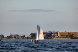 Picture 54