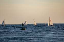 Picture 57