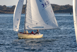 Picture 19