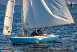 Picture 25