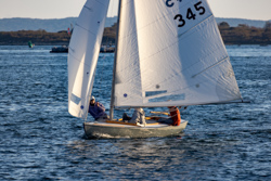 Picture 31