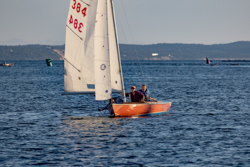 Picture 48